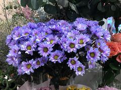 -花邻FloweringLife花艺气球派对(武康大楼店)