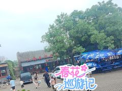 -王家大院