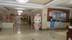 -北京俪婴妇产医院(朝阳大悦城店)