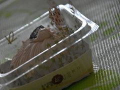 -凯司令西饼店(东建路店)