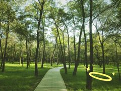 -森林公园(尖草坪区)