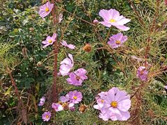 -潭柘厚院(桑峪村店)