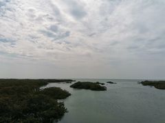 -北海金海湾红树林生态旅游区