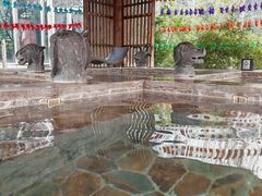 -中家鑫园温泉酒店鑫悦汤泉