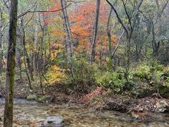 -玉渡山自然风景区