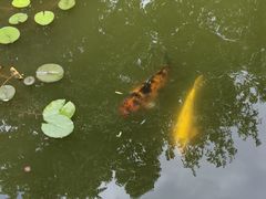 -嘉定博物馆