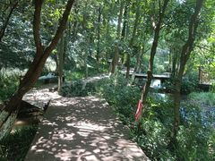 -杭州半山国家森林公园