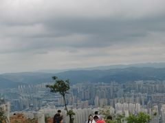 -长虫山生态公园风景林
