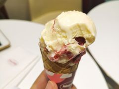 -哈根达斯(陆家浜路店)