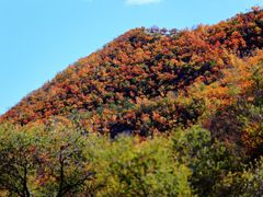 -西拉沐沦大峡谷园区