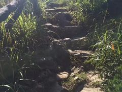 -梧桐山风景名胜区