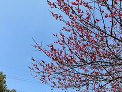 -长田漾湿地公园