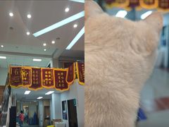 -联合动物医院(光谷诊疗中心)
