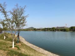 -羊山湖公园