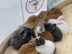 -天河城购物中心