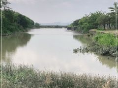 -福田红树林生态公园