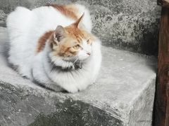 -玉椰林甜品店(创始店)