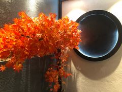 -先机®·泉水鸡汤(七星岗店)