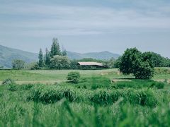 -良渚古城遗址公园