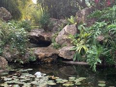 -晓港公园