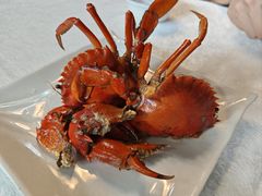 招牌煎蟹-莲花公园煎蟹(总店)