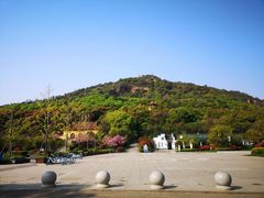 -桃花岛景观公园