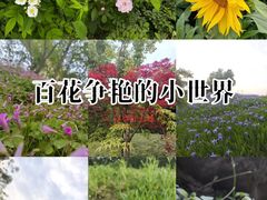 -白鹭湾湿地公园