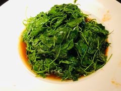 酒香金花菜-吴越荣记苏州菜·松鼠桂鱼(月光码头店)