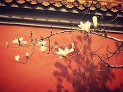 -东华门大街小区