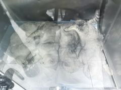 -达爱动物医院·犬猫分区·CT·复杂眼科(远洋山水分院)