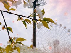 -东湖生态旅游风景区