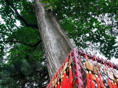 -潭柘寺景区