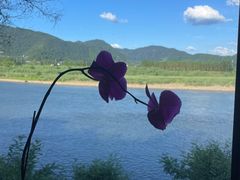 -红灯笼姥姥饭店·江景餐厅