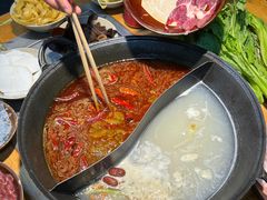 -阳阳老火锅(小南门店)