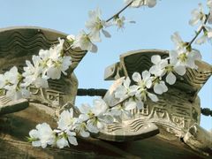 -春风习习