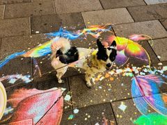 -中华巴洛克风情街