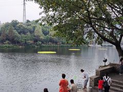 -重庆彩云湖湿地公园