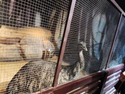 -酷嗒动物文化乐园(cutezoo西溪乐天城店)