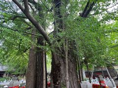 -潭柘寺景区