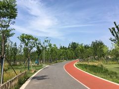 -上海长兴岛郊野公园