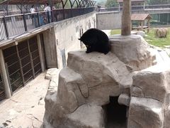 -石家庄市动物园