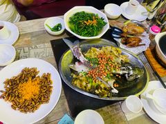 -石岐乳鸽村(南海第三分店)