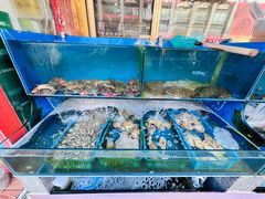 -北方饺子王·海肠捞饭·海鲜锅(山大店)