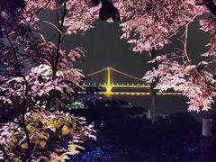 -武昌中华路码头(轮渡站)