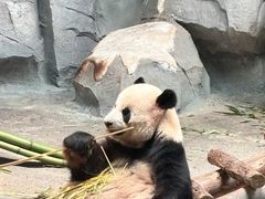 -泉城欧乐堡梦幻世界