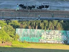 -深圳野生动物园