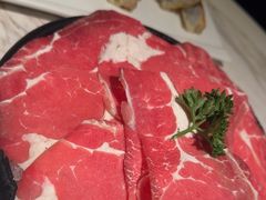 -汤城·料青山