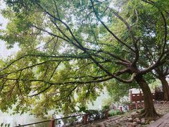 -成都市活水公园