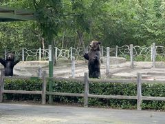 -常州淹城野生动物世界