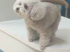 -瑞派宠物医院·24小时骨科·心脏·核磁(哈尔滨南岗店)